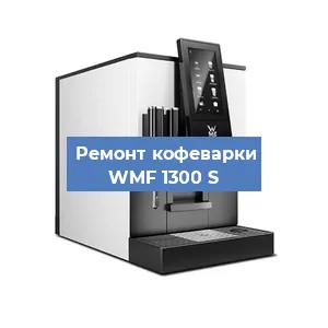 Декальцинация   кофемашины WMF 1300 S в Екатеринбурге